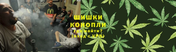 Альфа ПВП Арсеньев