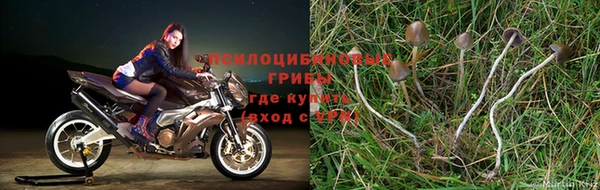 Альфа ПВП Арсеньев