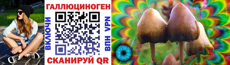 это состав Темрюк Галлюциногенные грибы Magic Shrooms hydra